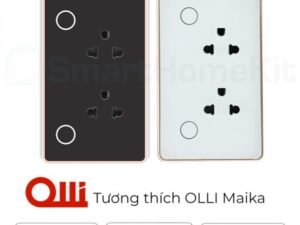 Ổ cắm thông minh đôi âm tường Tuya